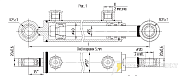 Гидроцилиндр МС40/25х100-3(4).11(290)